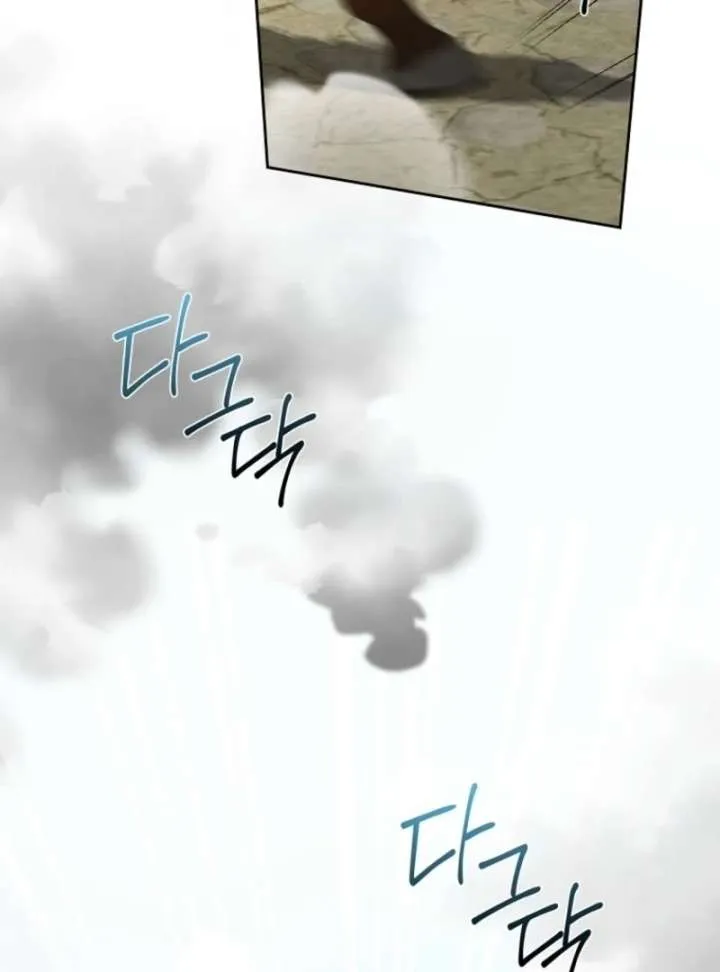 I Will Divorce the Female Lead’s Siscon Brother Chapter 82 page 32 - 