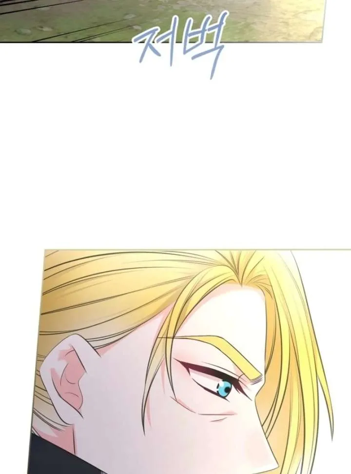 I Will Divorce the Female Lead’s Siscon Brother Chapter 82 page 47 - 