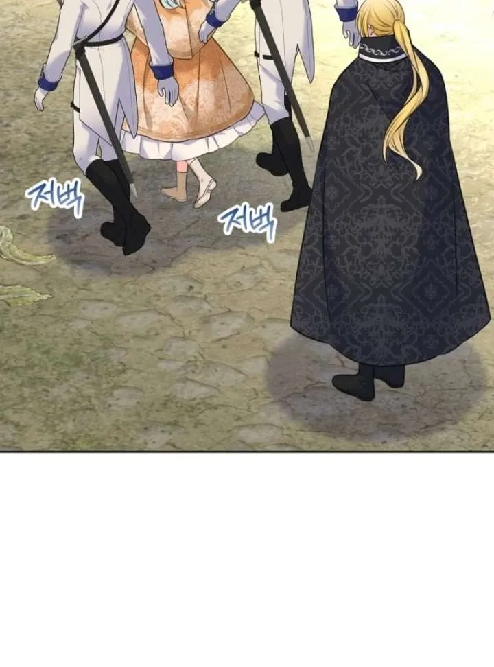 I Will Divorce the Female Lead’s Siscon Brother Chapter 82 page 75 - 