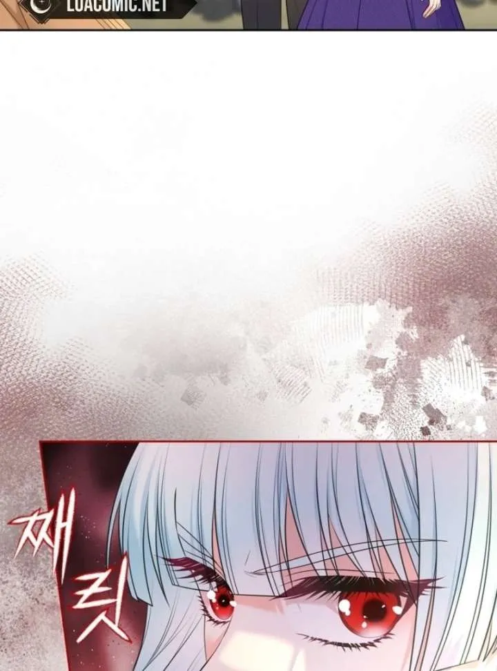 I Will Divorce the Female Lead’s Siscon Brother Chapter 82 page 77 - 