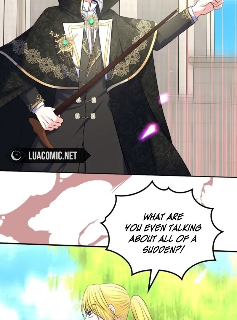 I Will Divorce the Female Lead’s Siscon Brother Chapter 83 page 12 - 