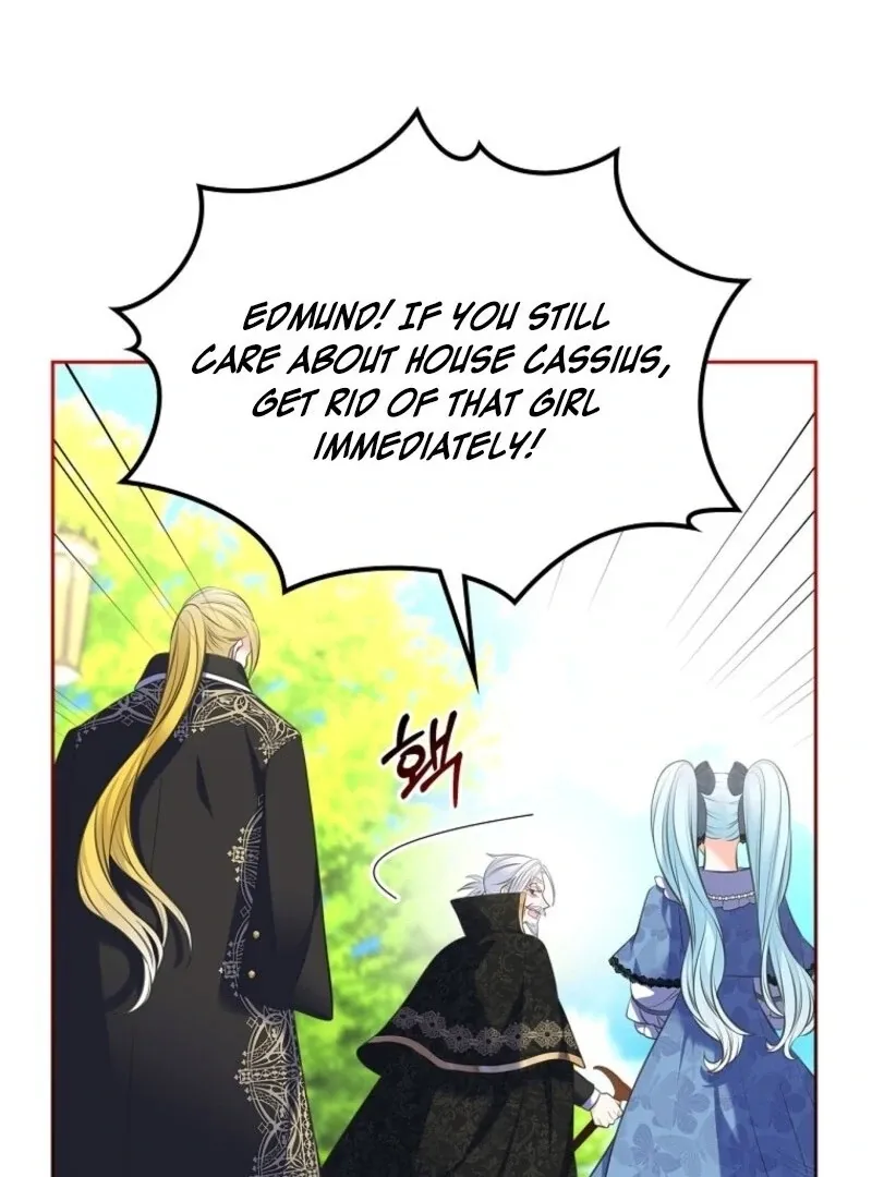 I Will Divorce the Female Lead’s Siscon Brother Chapter 83 page 45 - 