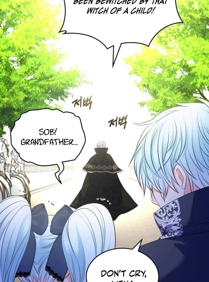 I Will Divorce the Female Lead’s Siscon Brother Chapter 83 page 47 - 