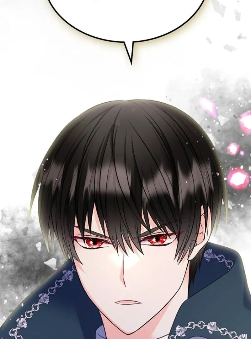 I Will Divorce the Female Lead’s Siscon Brother Chapter 83 page 93 - 