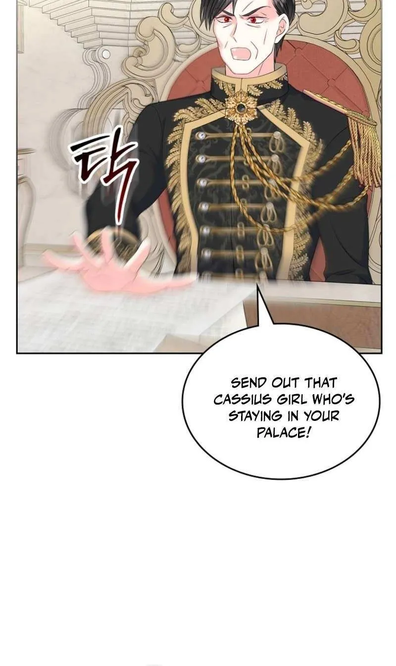 I Will Divorce the Female Lead’s Siscon Brother Chapter 84 page 39 - 