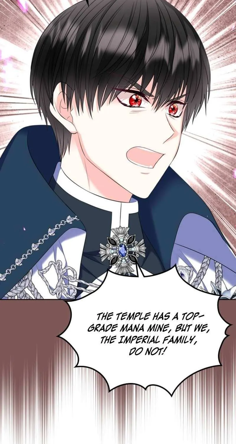 I Will Divorce the Female Lead’s Siscon Brother Chapter 84 page 42 - 