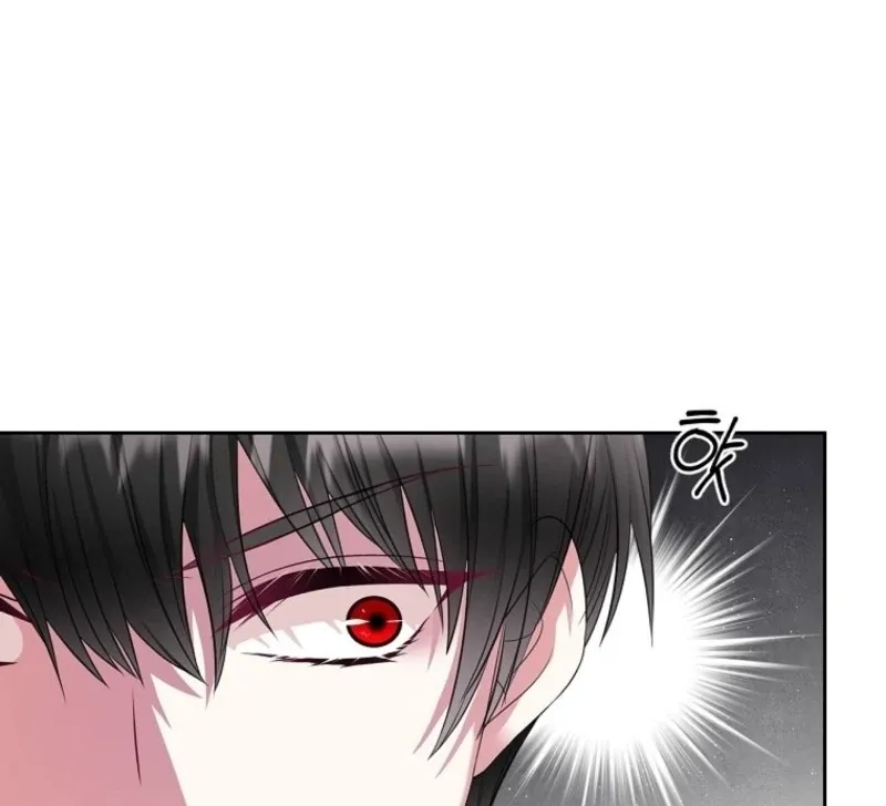 I Will Divorce the Female Lead’s Siscon Brother Chapter 85 page 27 - 