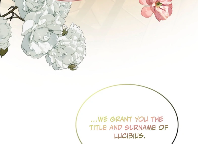 I Will Divorce the Female Lead’s Siscon Brother Chapter 86 page 74 - 