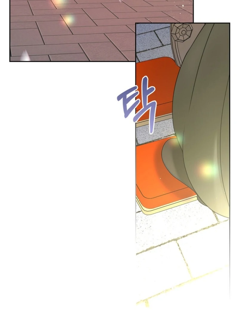 I Will Divorce the Female Lead’s Siscon Brother Chapter 87 page 63 - 