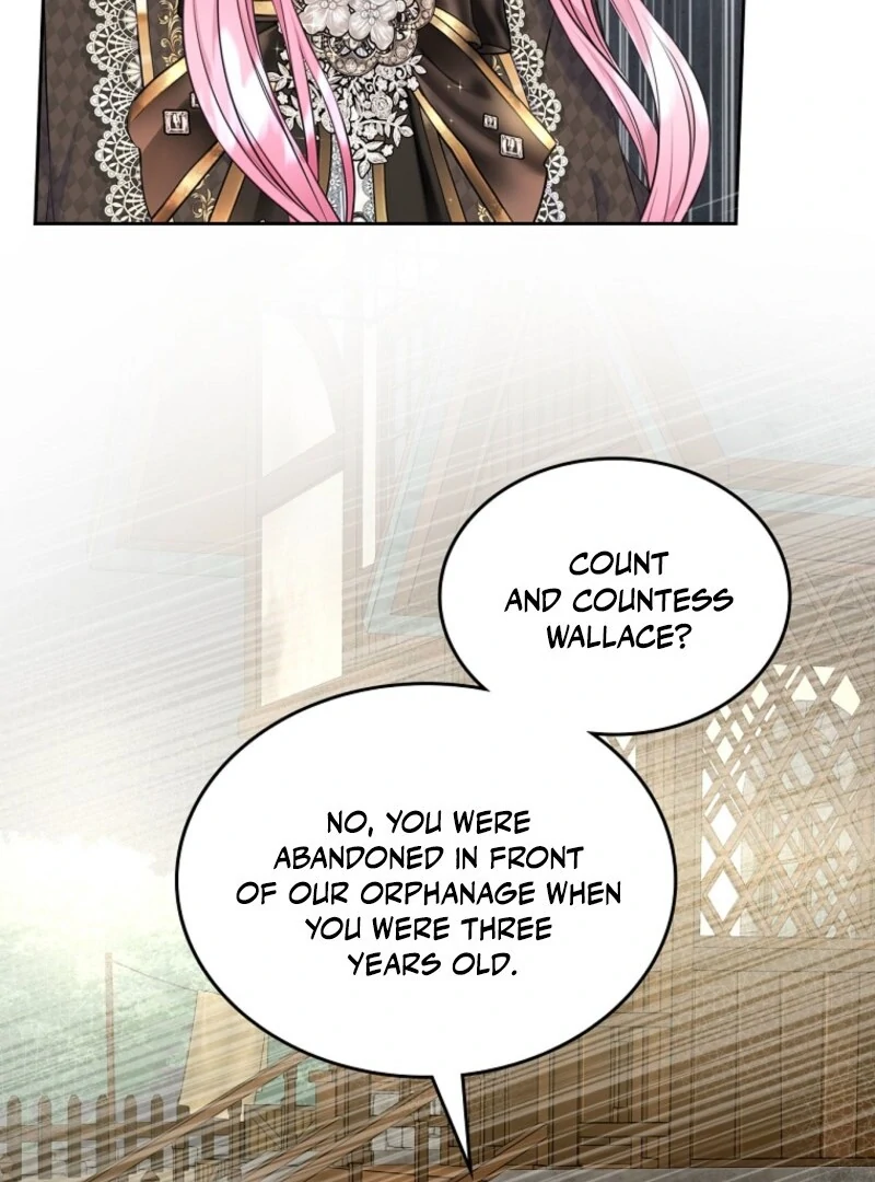I Will Divorce the Female Lead’s Siscon Brother Chapter 87 page 74 - 