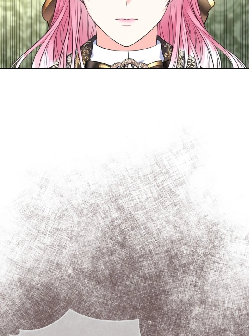 I Will Divorce the Female Lead’s Siscon Brother Chapter 88 page 48 - 