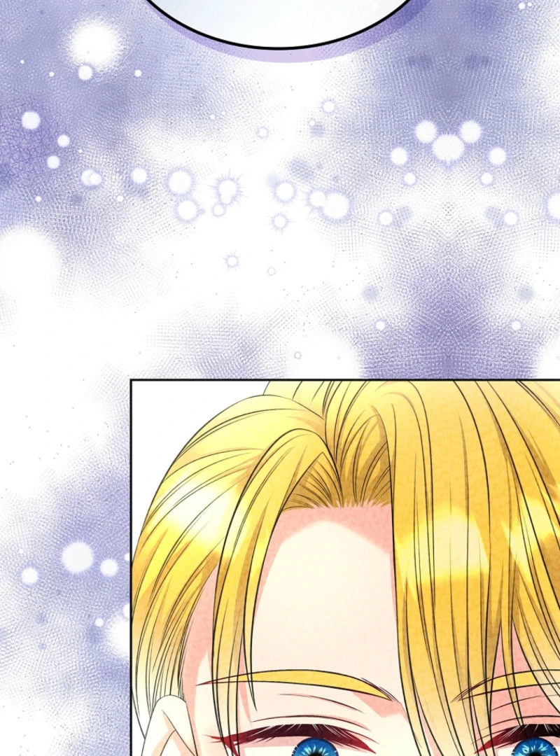 I Will Divorce the Female Lead’s Siscon Brother Chapter 89 page 103 - 