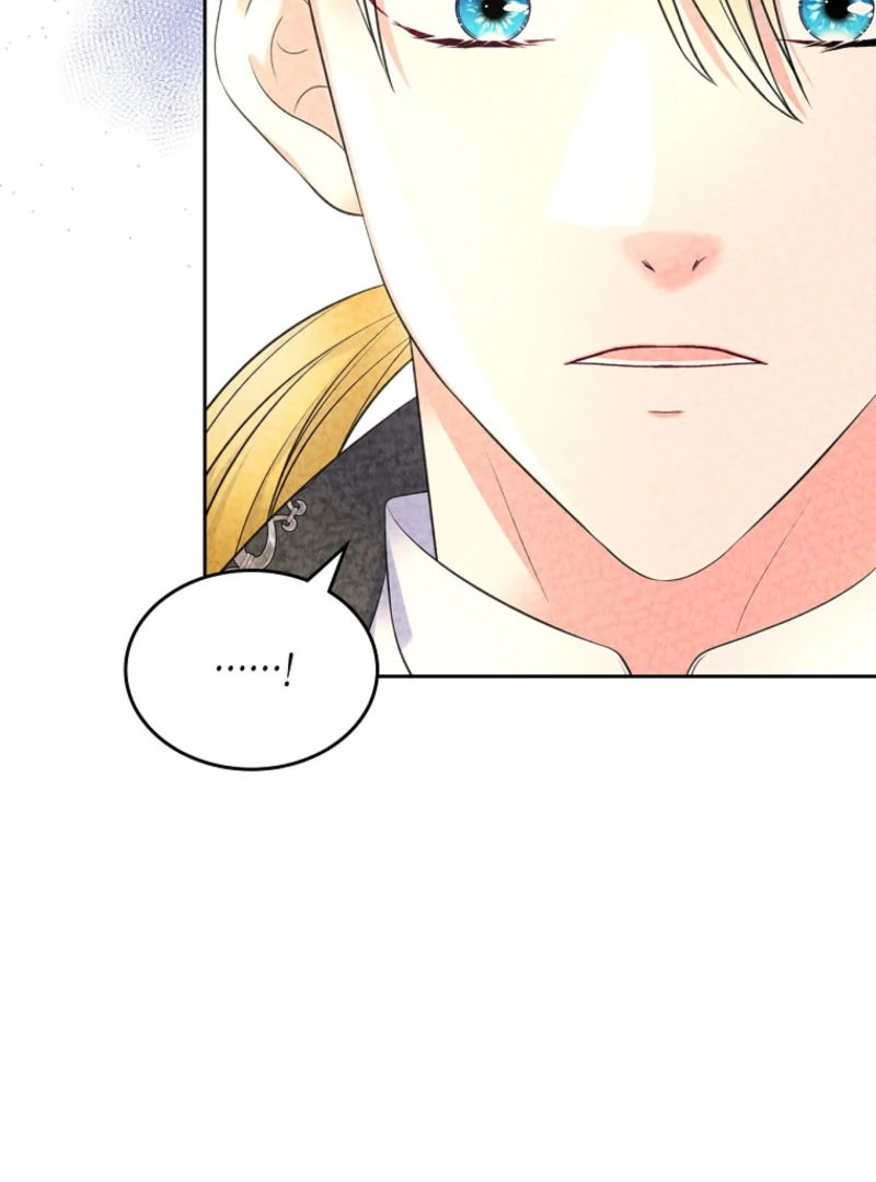 I Will Divorce the Female Lead’s Siscon Brother Chapter 89 page 104 - 