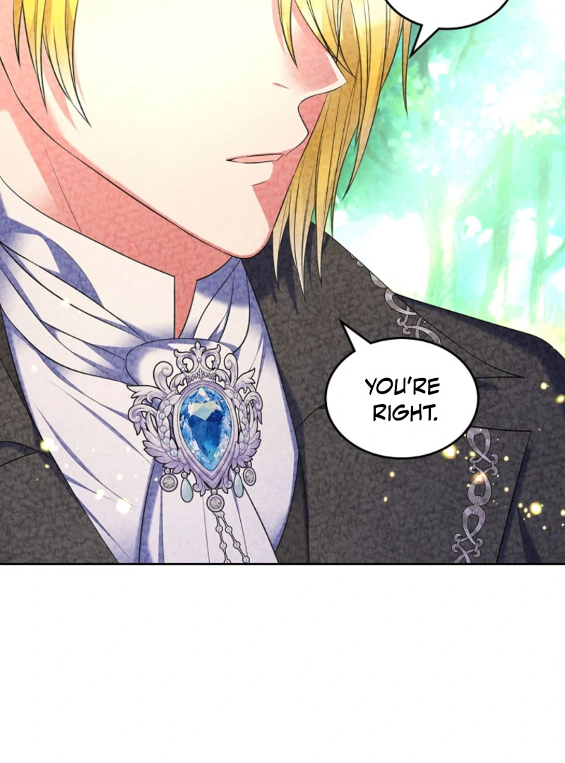I Will Divorce the Female Lead’s Siscon Brother Chapter 89 page 107 - 