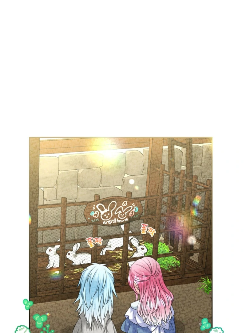 I Will Divorce the Female Lead’s Siscon Brother Chapter 89 page 42 - 