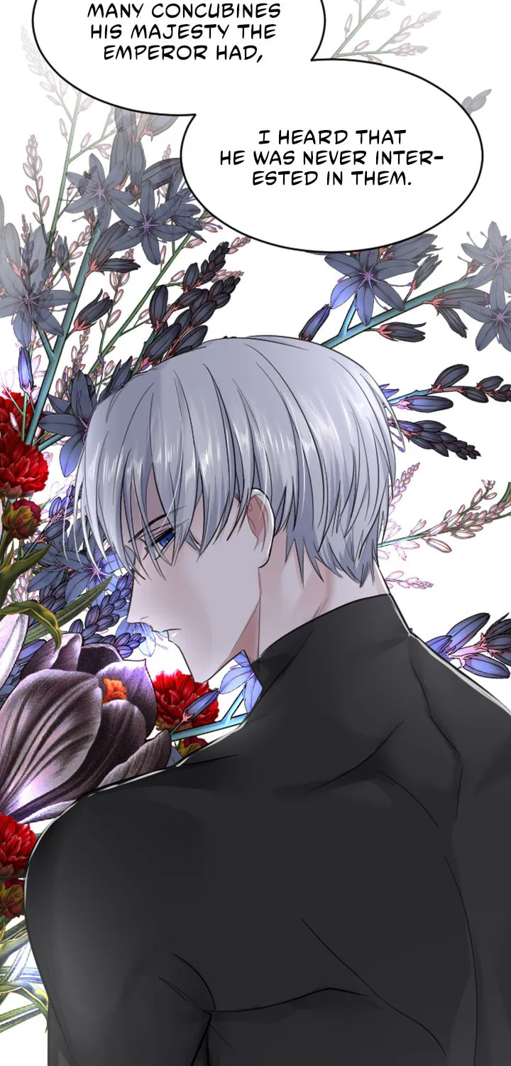 ‏I Will Fall With the Emperor Chapter 21 page 47 - 