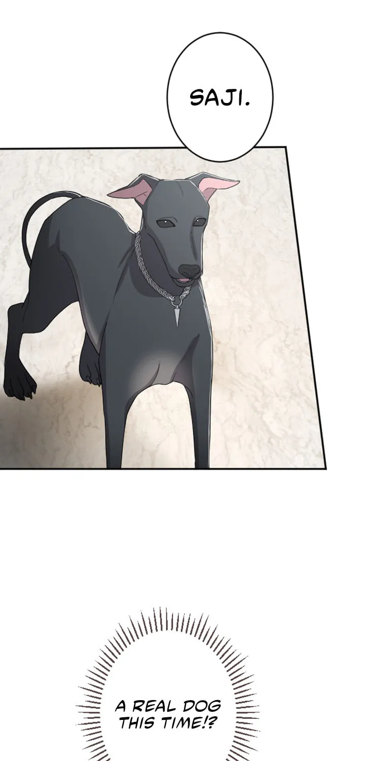 ‏I Will Fall With the Emperor Chapter 33 page 14 - 