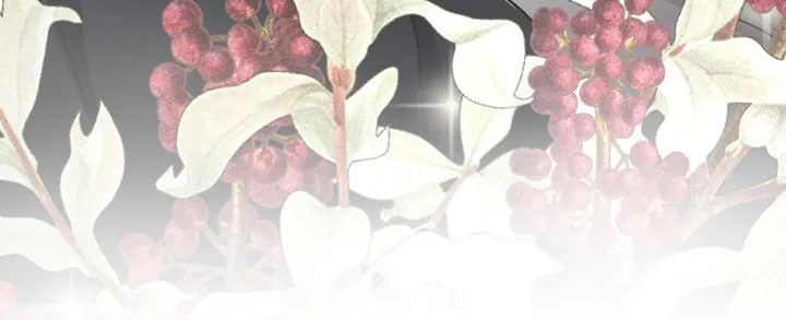‏I Will Fall With the Emperor Chapter 33 page 24 - 