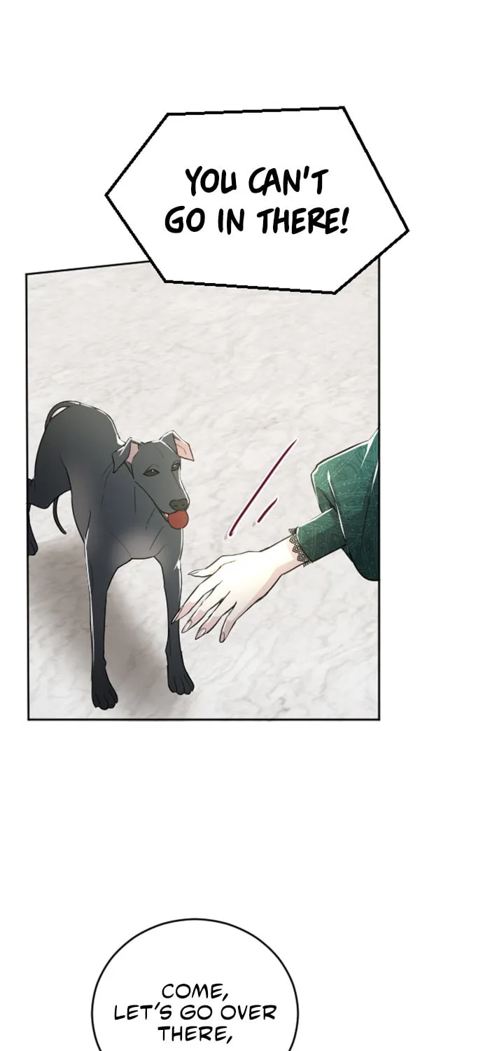 ‏I Will Fall With the Emperor Chapter 33 page 38 - 