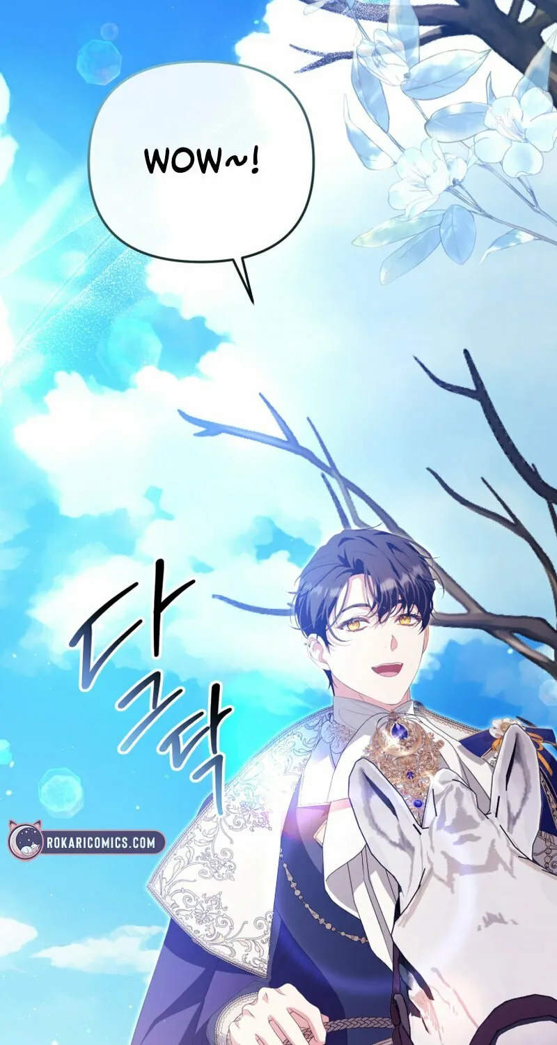 I Will Pay the Price for Deceiving You With My Life Chapter 16 page 41 - 
