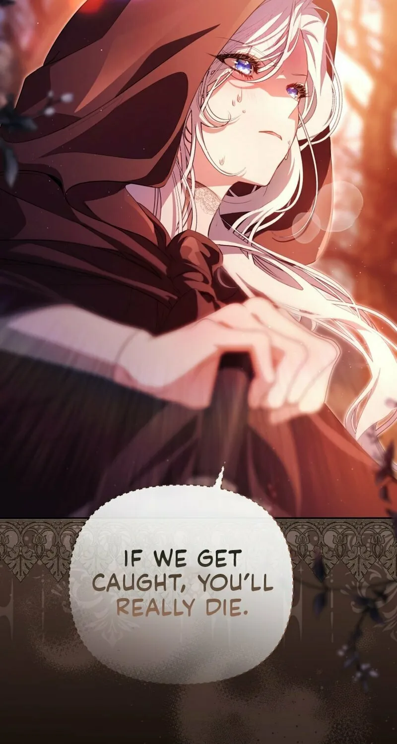 I Will Pay the Price for Deceiving You With My Life Chapter 19 page 27 - 