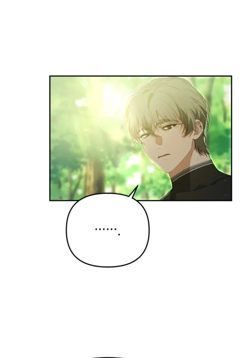 I Will Pay the Price for Deceiving You With My Life Chapter 2 page 30 - 