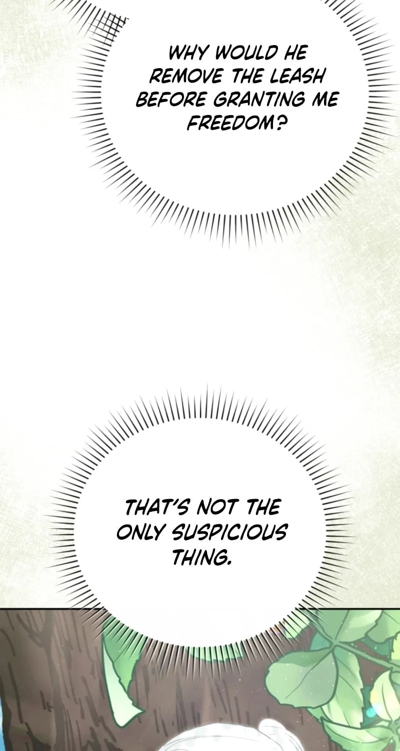 I Will Pay the Price for Deceiving You With My Life Chapter 2 page 62 - 