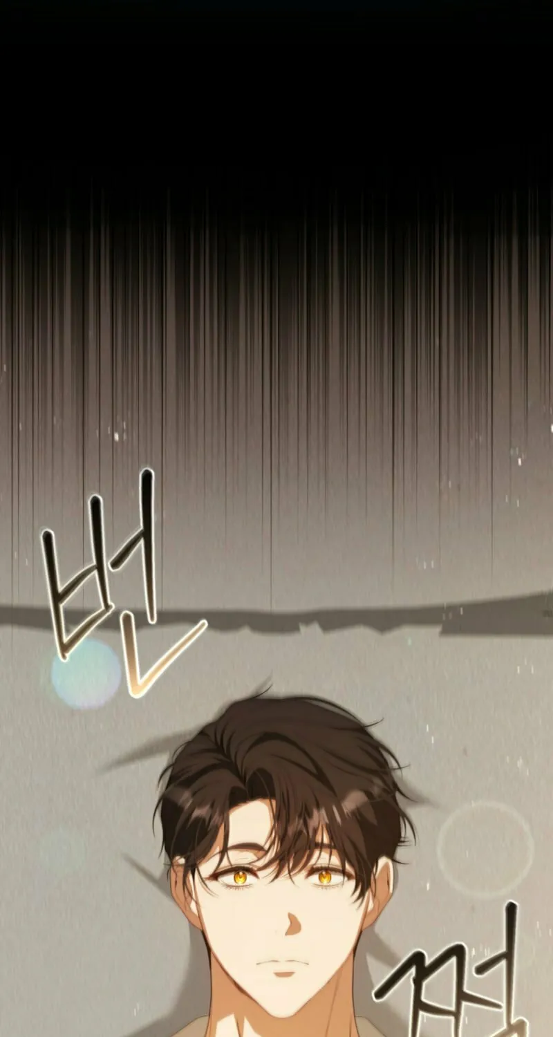 I Will Pay the Price for Deceiving You With My Life Chapter 24 page 67 - 