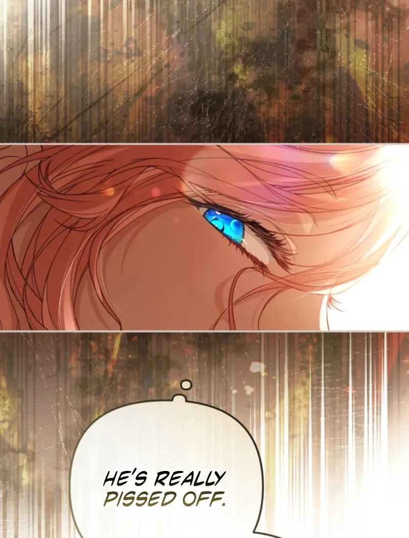 I Will Pay the Price for Deceiving You With My Life Chapter 33 page 75 - 