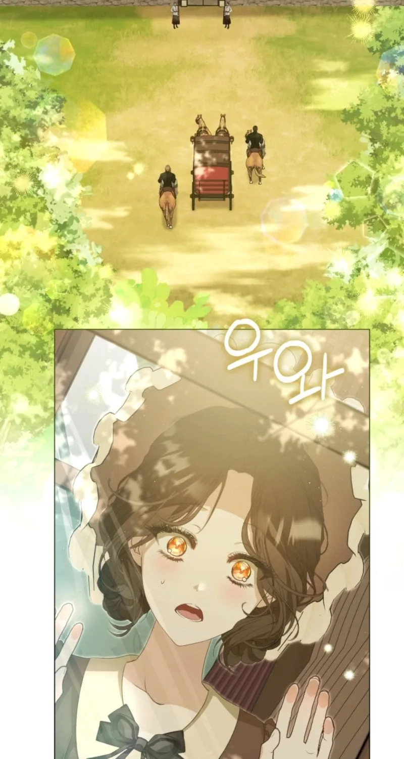 I Will Pay the Price for Deceiving You With My Life Chapter 6 page 67 - 