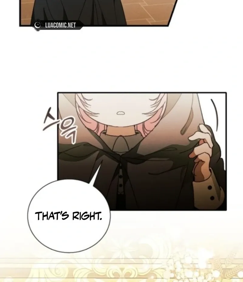 I Will Protect My Tyrant Dad! Chapter 40 page 13 - 