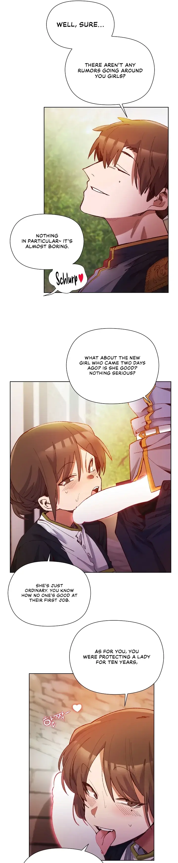 I Will Protect the Lady Chapter 1 page 17 - 