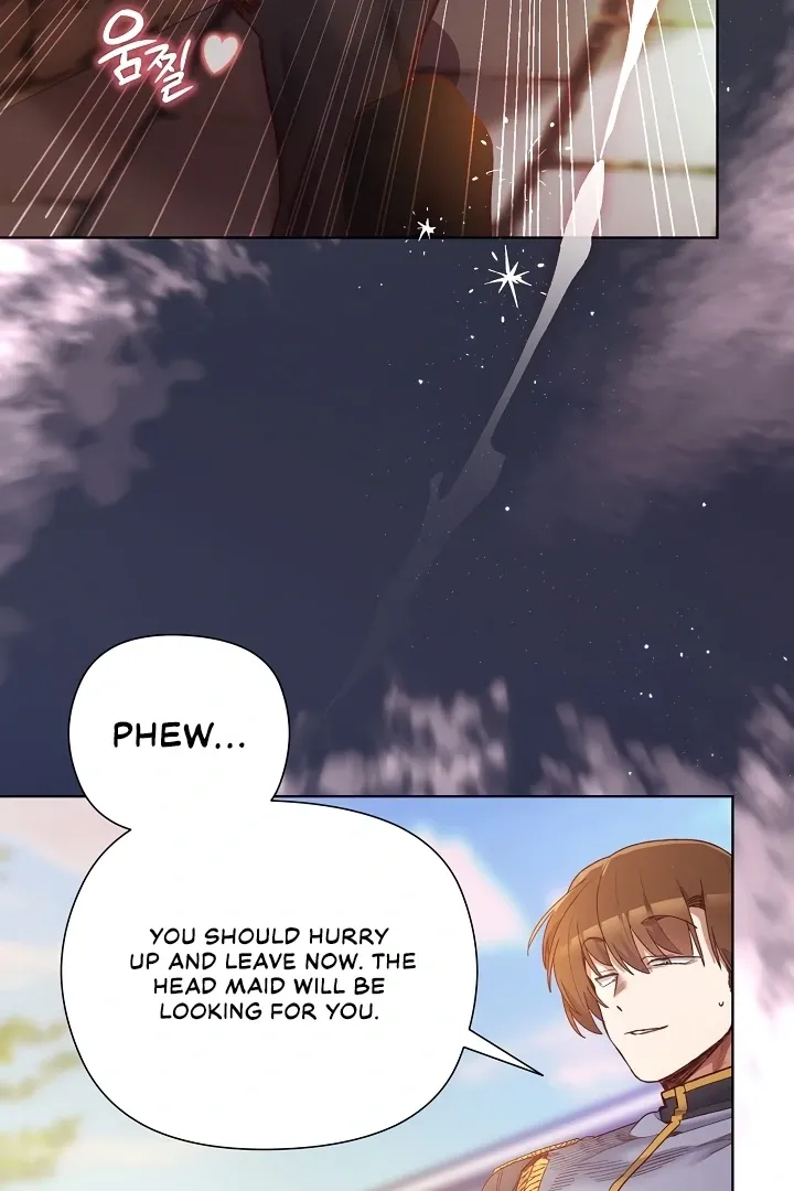 I Will Protect the Lady Chapter 1 page 9 - 