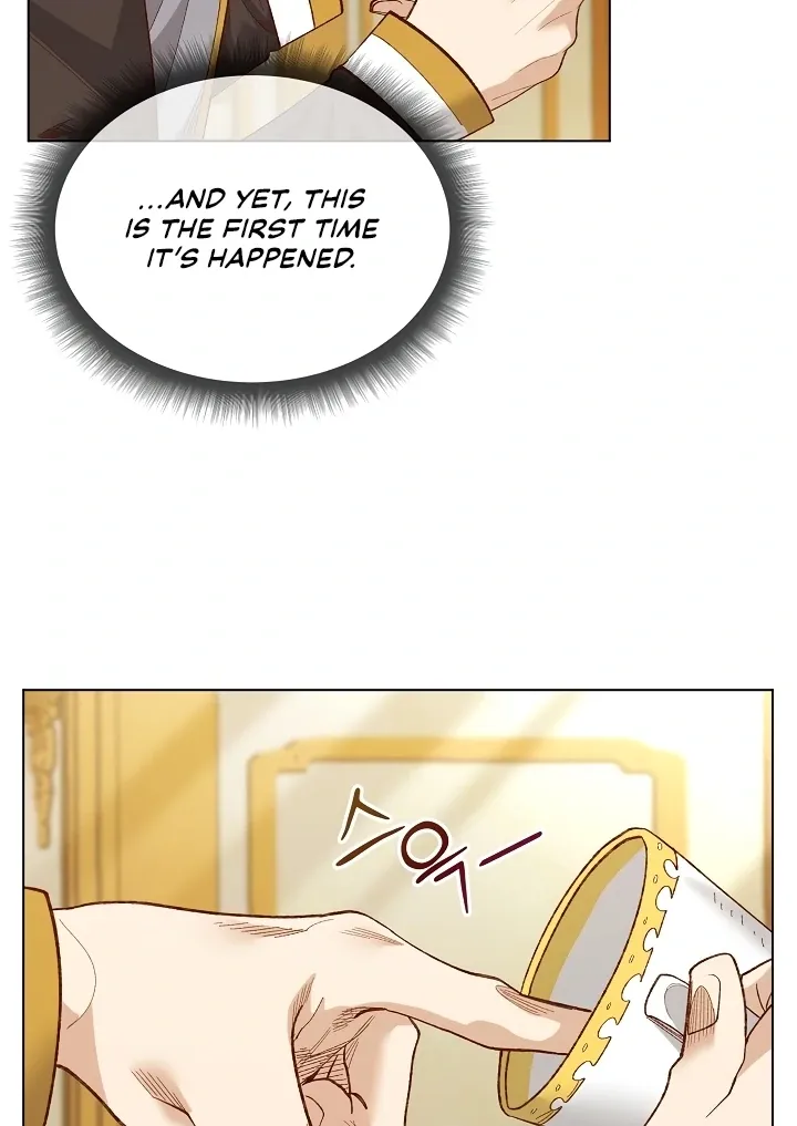 I Will Protect the Lady Chapter 10 page 39 - 