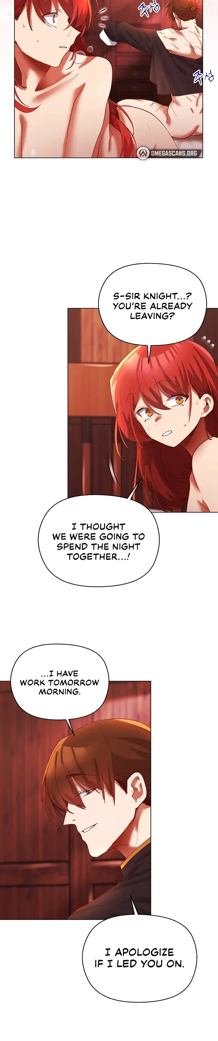 I Will Protect the Lady Chapter 3 page 27 - 