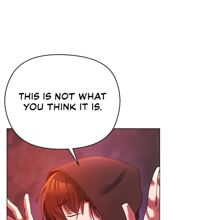 I Will Protect the Lady Chapter 4 page 11 - 
