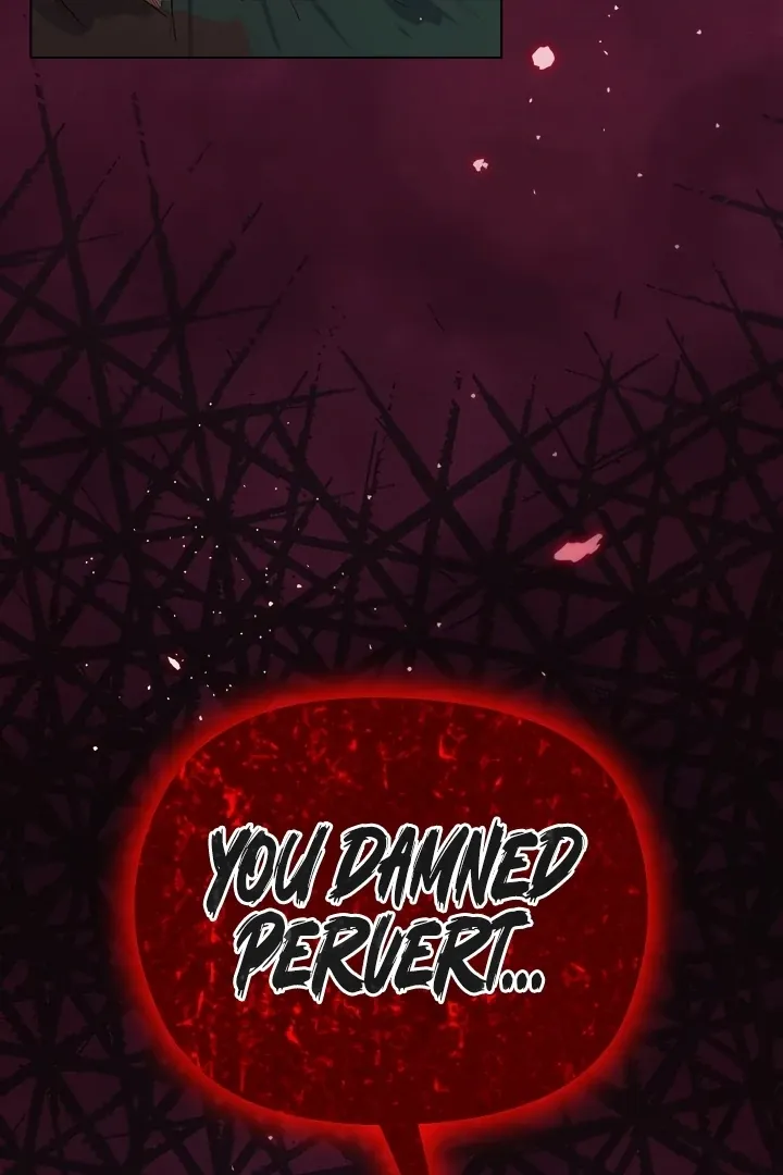 I Will Protect the Lady Chapter 4 page 5 - 