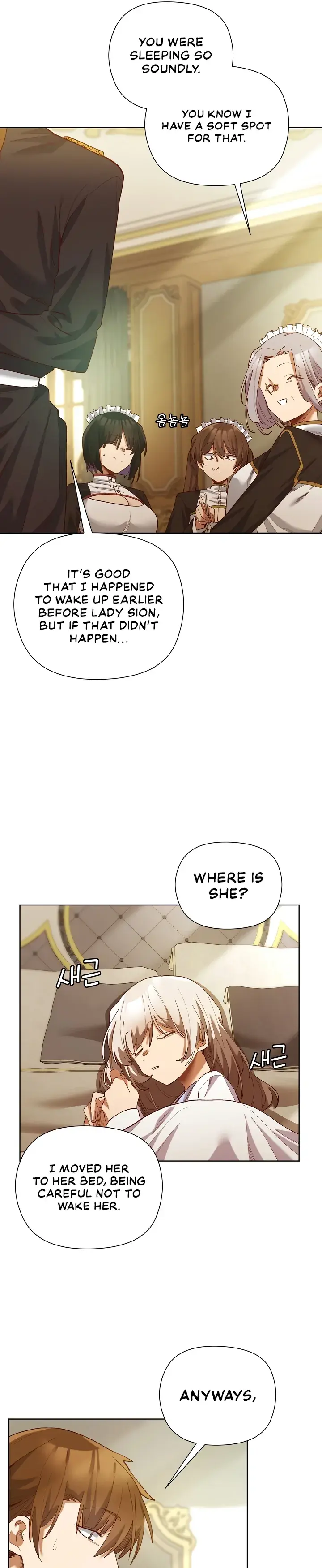 I Will Protect the Lady Chapter 5 page 29 - 