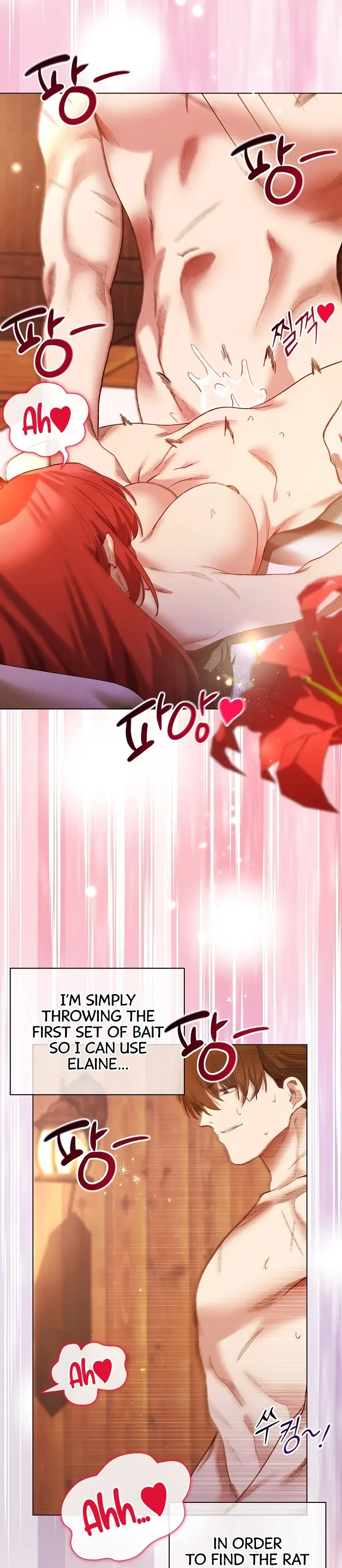 I Will Protect the Lady Chapter 8 page 17 - 