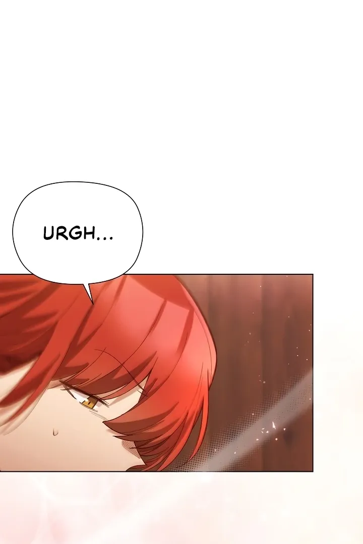 I Will Protect the Lady Chapter 8 page 47 - 