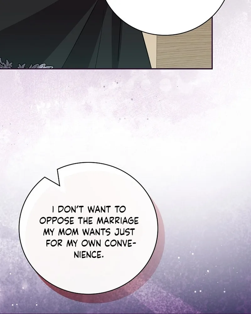 I Will Return My New Brother Chapter 20 page 28 - 