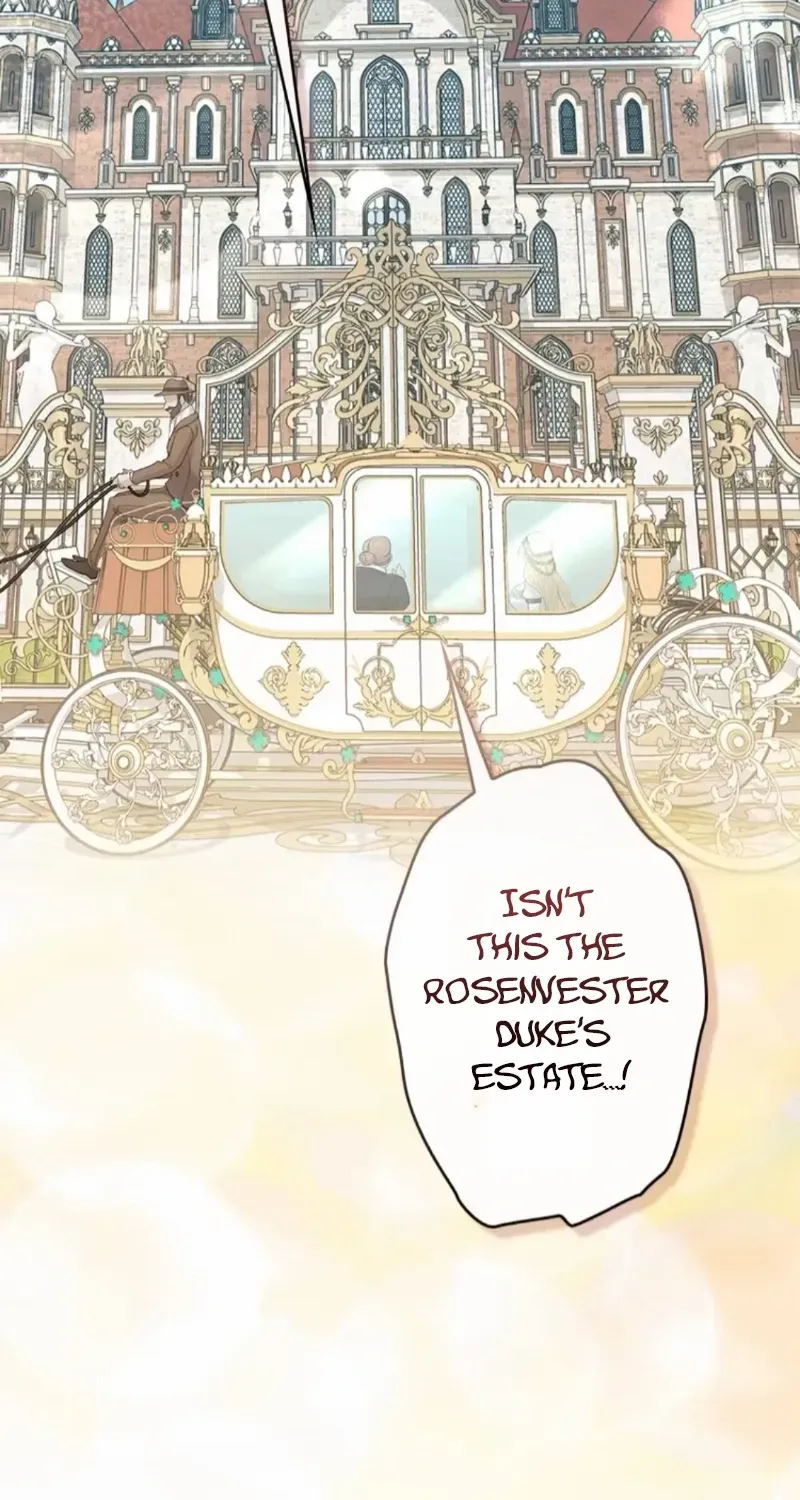 I Won’t Regret My Second Life, The Happy Ending Comes After Revenge Chapter 14 page 59 - 