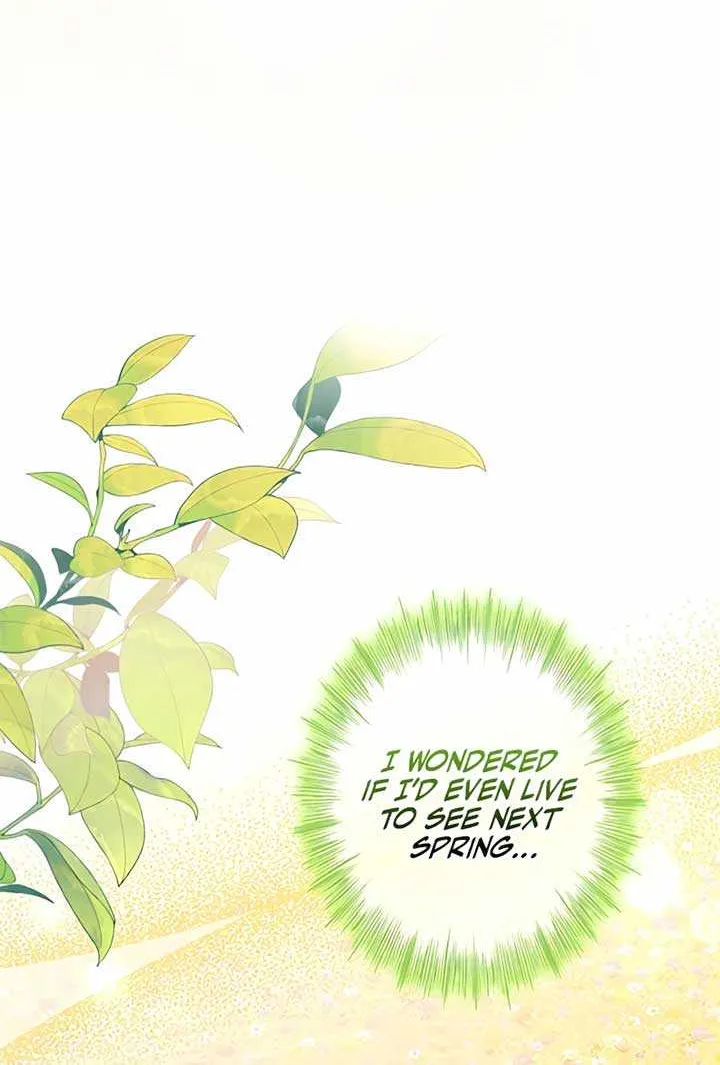 I Won’t Regret My Second Life, The Happy Ending Comes After Revenge Chapter 2 page 52 - 