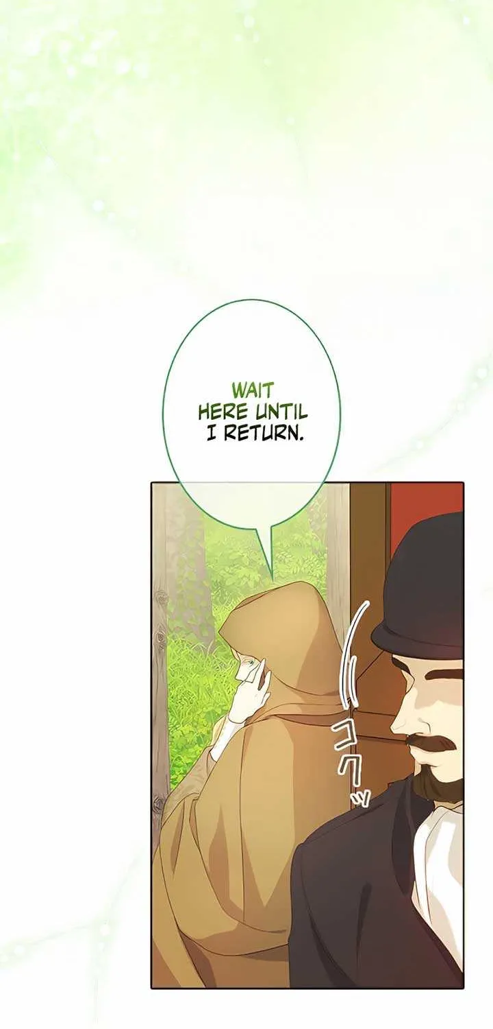 I Won’t Regret My Second Life, The Happy Ending Comes After Revenge Chapter 2 page 95 - 