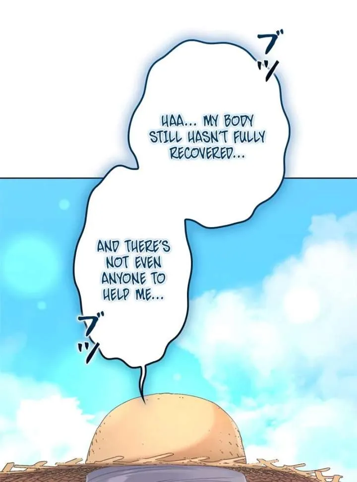 I Won’t Regret My Second Life, The Happy Ending Comes After Revenge Chapter 25 page 105 - 