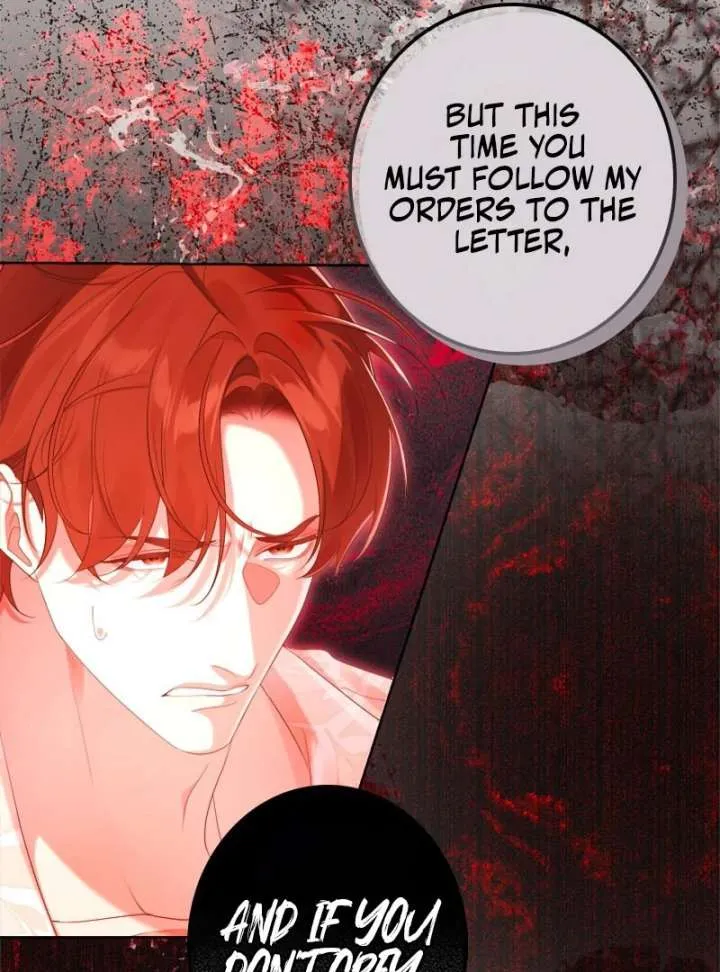 I Won’t Regret My Second Life, The Happy Ending Comes After Revenge Chapter 25 page 82 - 