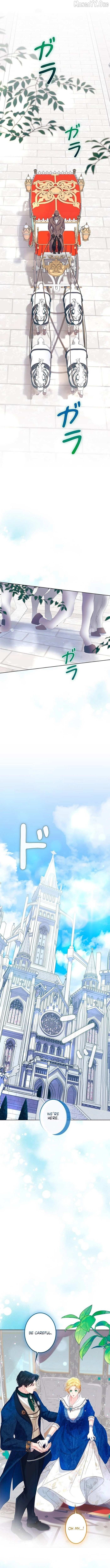 I Won’t Regret My Second Life, The Happy Ending Comes After Revenge Chapter 28 page 17 - 