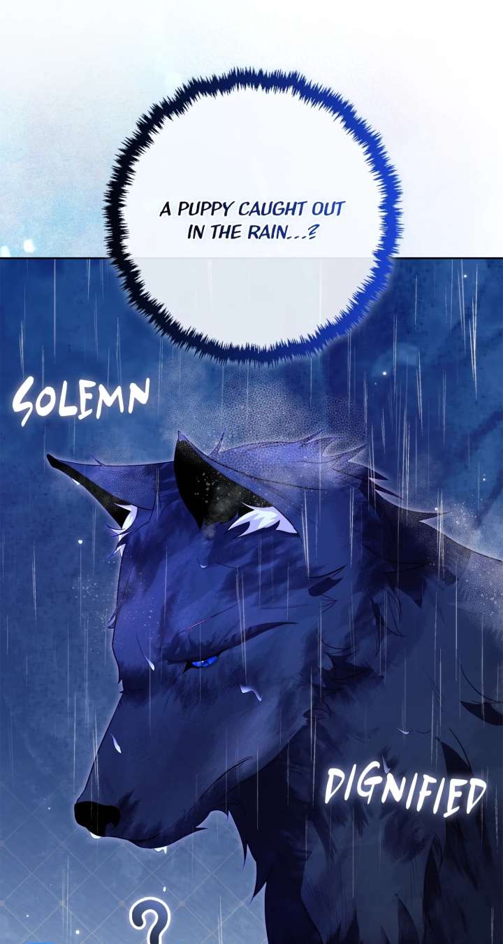I Won’t Regret My Second Life, The Happy Ending Comes After Revenge Chapter 36 page 25 - 