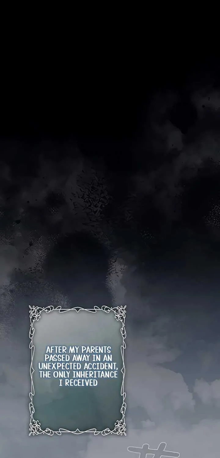 I Won’t Regret My Second Life, The Happy Ending Comes After Revenge Chapter 4 page 1 - 