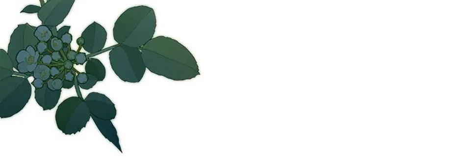 I’d Rather Abandon Than Be Abandoned Chapter 31 page 31 - 